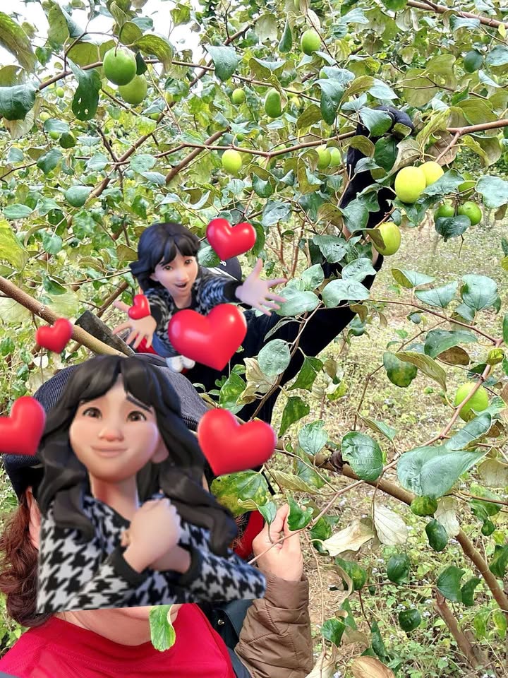 Đất vườn 2.926m² tại bản Po Cục, TP Sơn La - Nghỉ dưỡng lý tưởng với vườn bưởi trái cây đang thu hoạch!