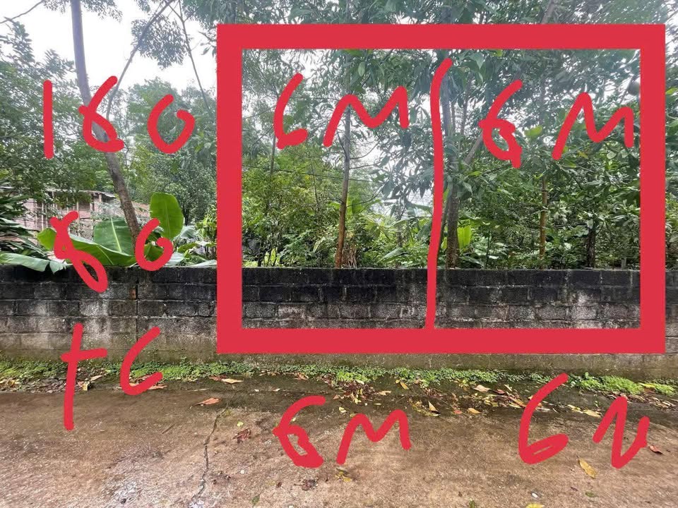 Đất thổ cư 160m² tại Tân Long, Thái Nguyên chỉ 499 triệu - Cơ hội đầu tư tuyệt vời!