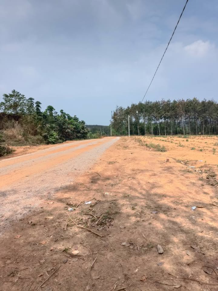 Đất nền ấp 2, xã Tiến Hưng, 2250m² - Giá thương lượng hấp dẫn!