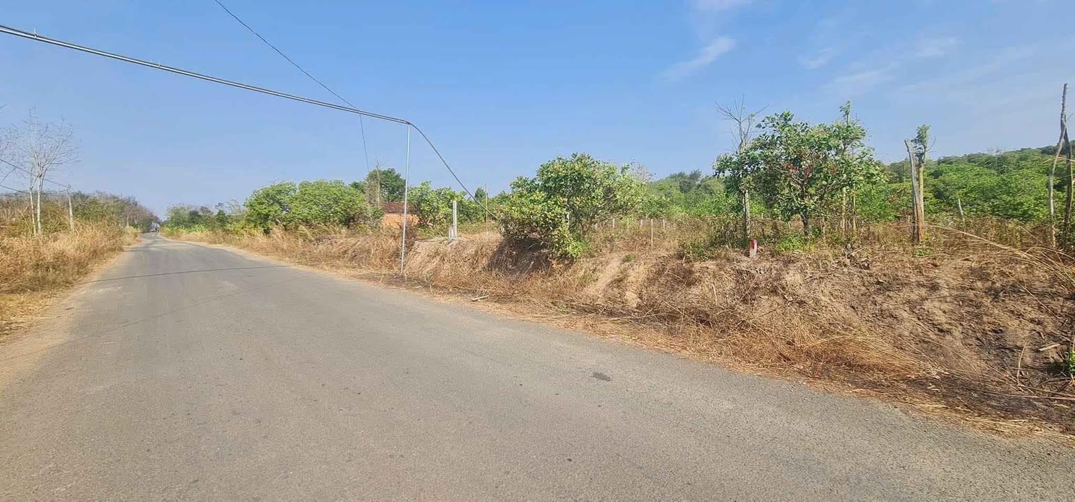 Đất nền Quảng Hiệp, Cư M'gar 3000m² giá 1.299 tỷ - Pháp lý đầy đủ, đường nhựa 100m!