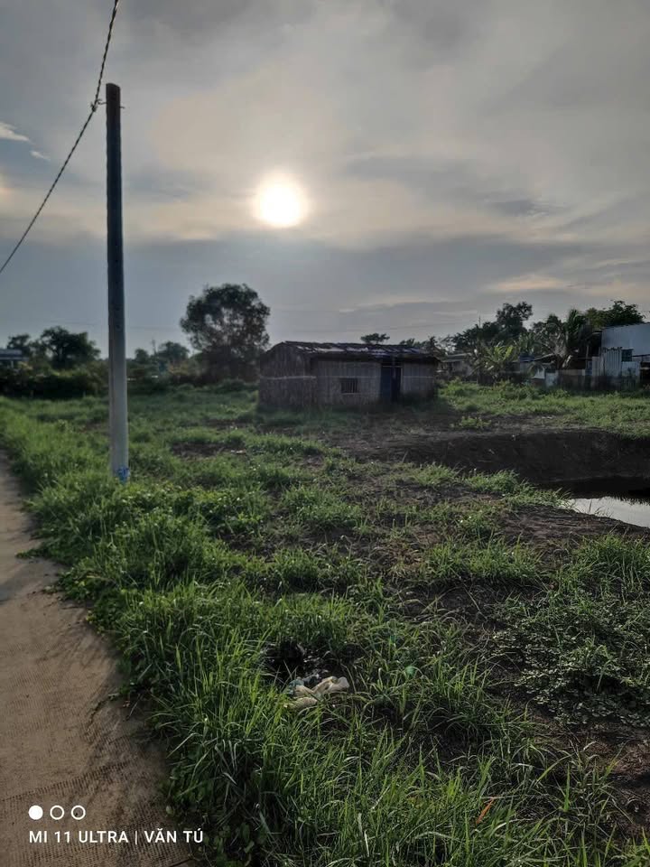 Lô đất 1.100m² tại xã Phước Lộc, Nhà Bè chỉ 3.2 tỷ - Đầu tư tiềm năng!