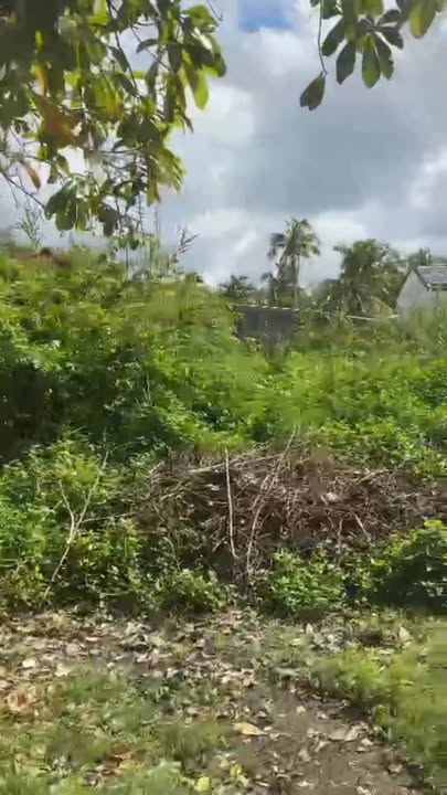 Bán đất nền Cái Răng 309m² giá 4.99 tỷ - Đường ô tô 8m, vị trí đẹp!