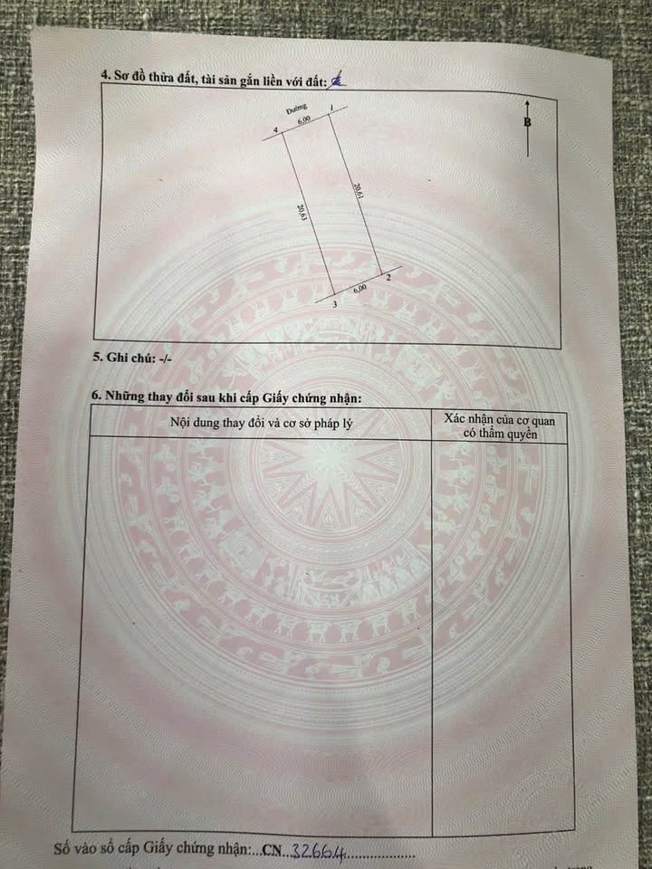 Đất nền xóm Trường Thịnh - Nghi Trường 123m² - Đường nhựa 6m thông thoáng