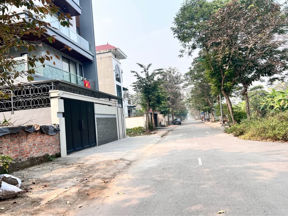 Đất phân lô Quang Trung, Việt Trì 99m² giá 5,x tỷ - Vị trí đắc địa gần trung tâm!