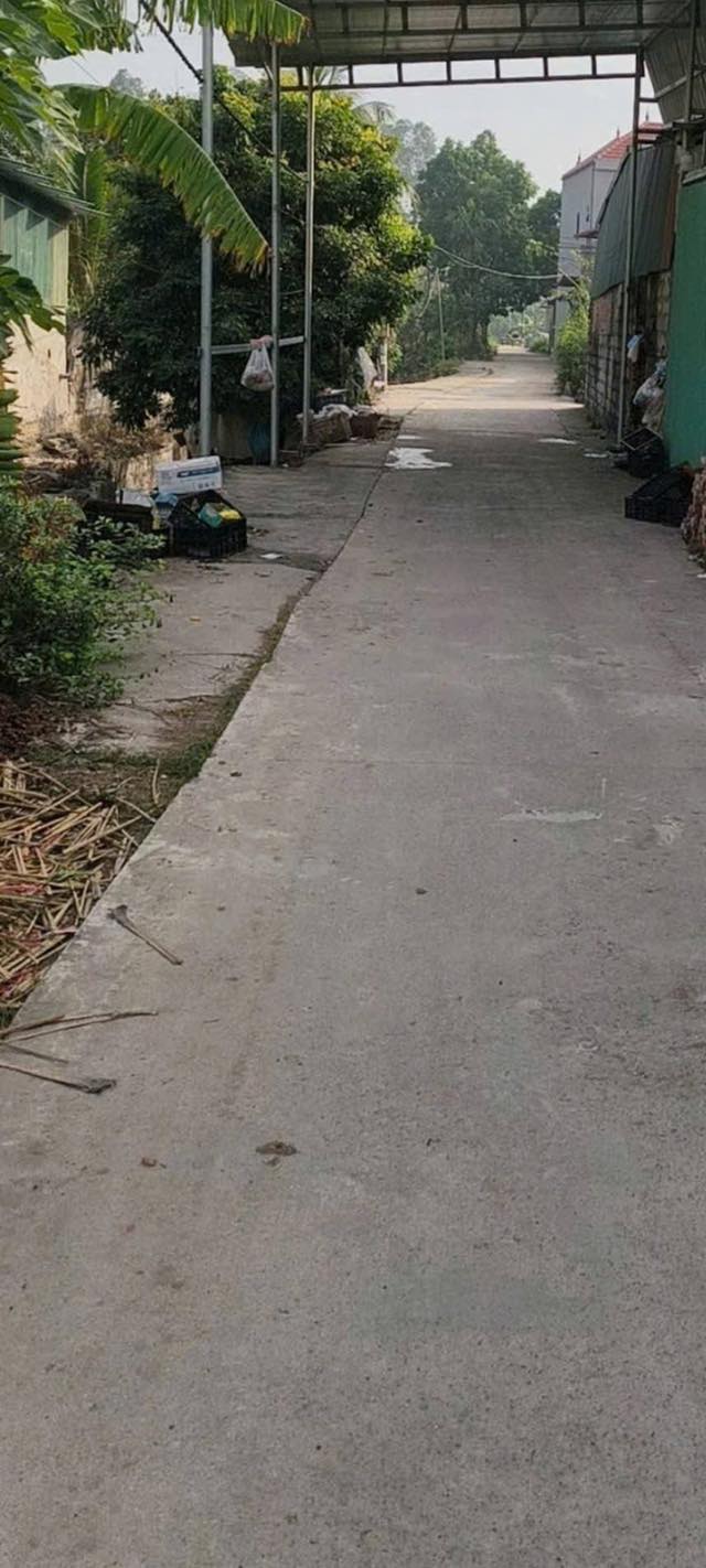 Đất nền Việt Hòa Khoái Châu 101m² giá 1.8 tỷ - Vị trí đẹp, đường thông rộng rãi!