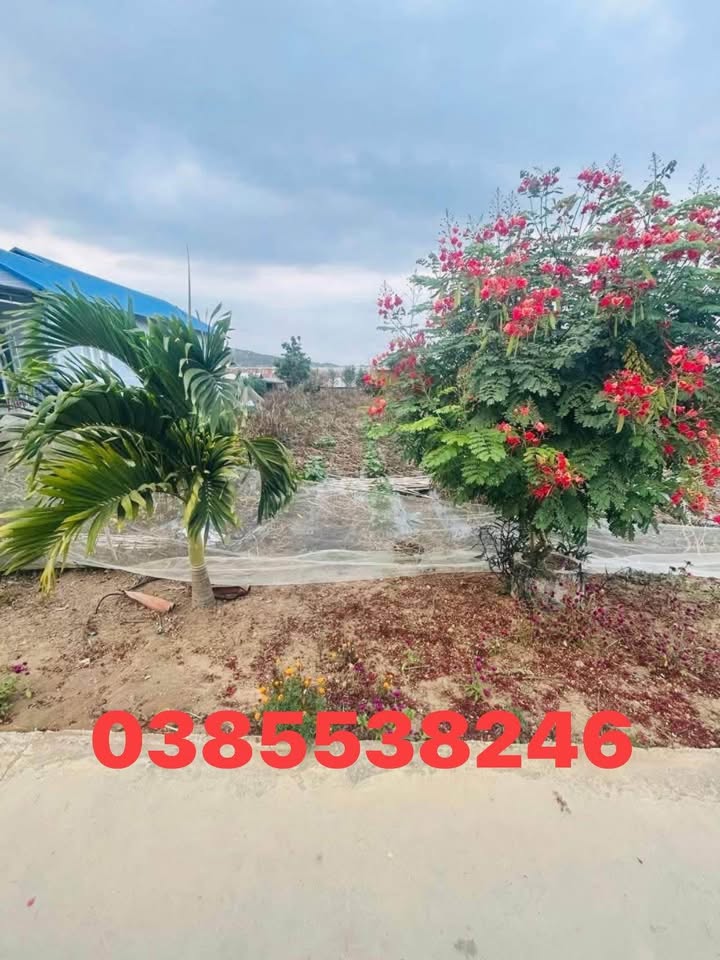 Đất sào xã Ka Đô, huyện Đơn Dương 7500m² giá 3.3 tỷ - Cơ hội đầu tư tuyệt vời!