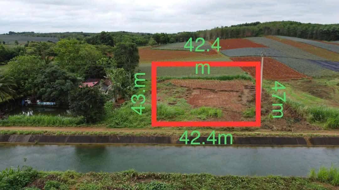 Đất mặt tiền Kênh Chính Bắc, xã Lam Sơn, 1905m² - Giá chỉ 1.08 tỷ!