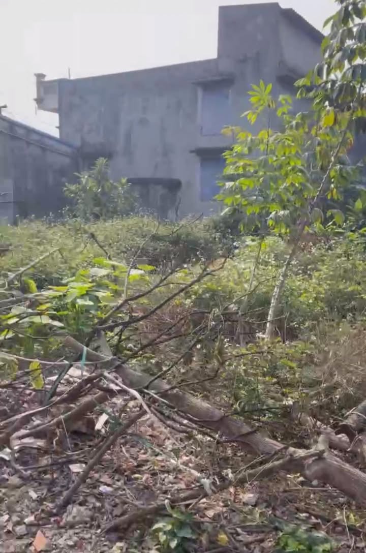 Đất lô góc ngõ 806 Vũ Hữu Lợi 65m² giá 1.1 tỷ - Sổ đỏ chính chủ!