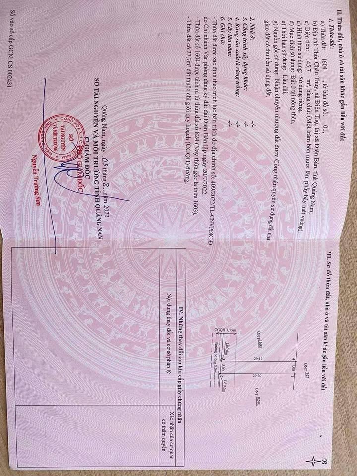 Đất nền thôn Cháu Thủy, xã Điện Thọ, 146m² giá 850 triệu - Vị trí không ngập lụt!