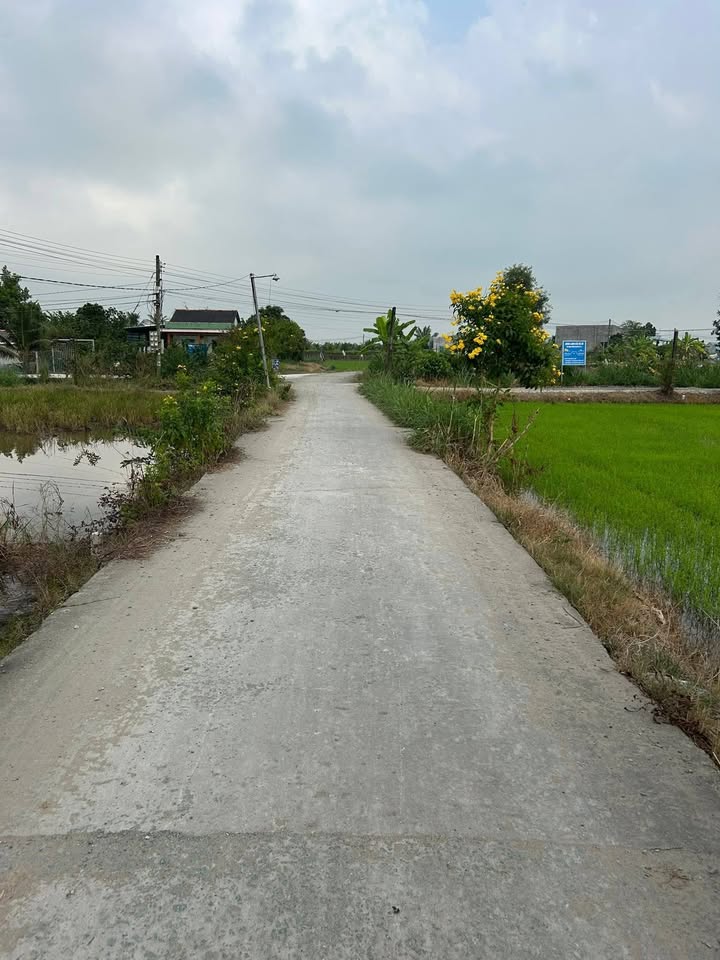 Đất thổ cư Ấp Bình Cang 2, Thủ Thừa 2200m² giá 1.09 tỷ - Mặt tiền đường rộng rãi!