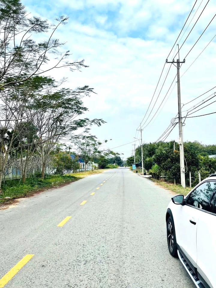 Đất nền Phú Mỹ Hưng, Củ Chi 1000m² - Vị trí đẹp, xây dựng liền!