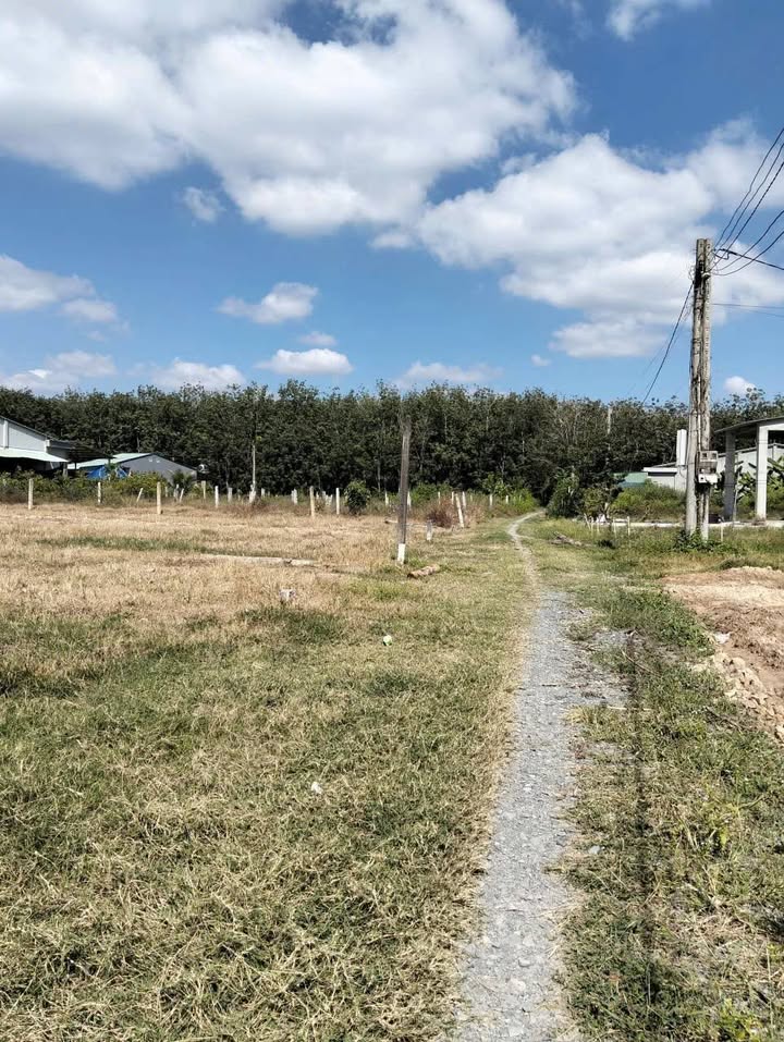 Đất nền Bến Cừ, Châu Thành, Tây Ninh 205m² giá 195 triệu - Cơ hội đầu tư tuyệt vời!