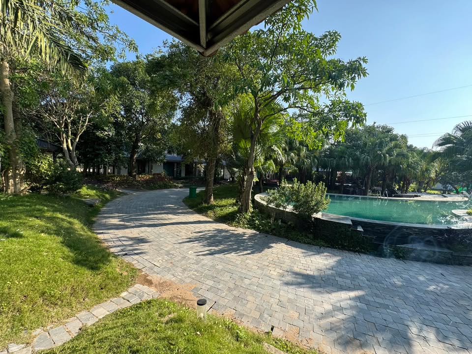 Đất thổ cư Xã Đông Hoàng, Huyện Tiền Hải 200m² giá 1.xx tỷ - Cơ hội đầu tư hấp dẫn!