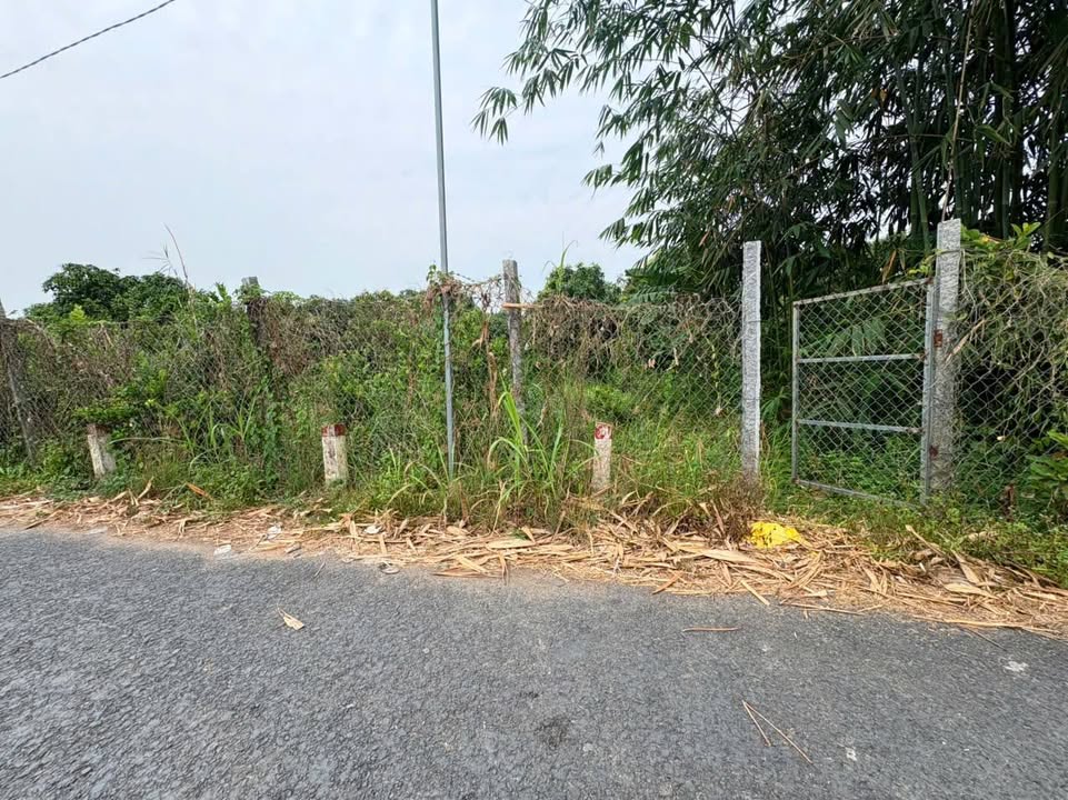 Đất nền 800m² tại Mỹ Hiệp, Đồng Tháp - Giá 1.1 tỷ, thương lượng chính chủ!