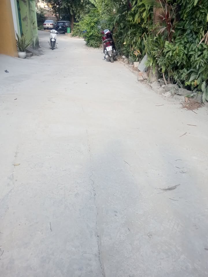 Đất Cổ Đam, Thọ Xuân 216m² giá 2 tỷ - Đầu tư lý tưởng hoặc ở ngay!