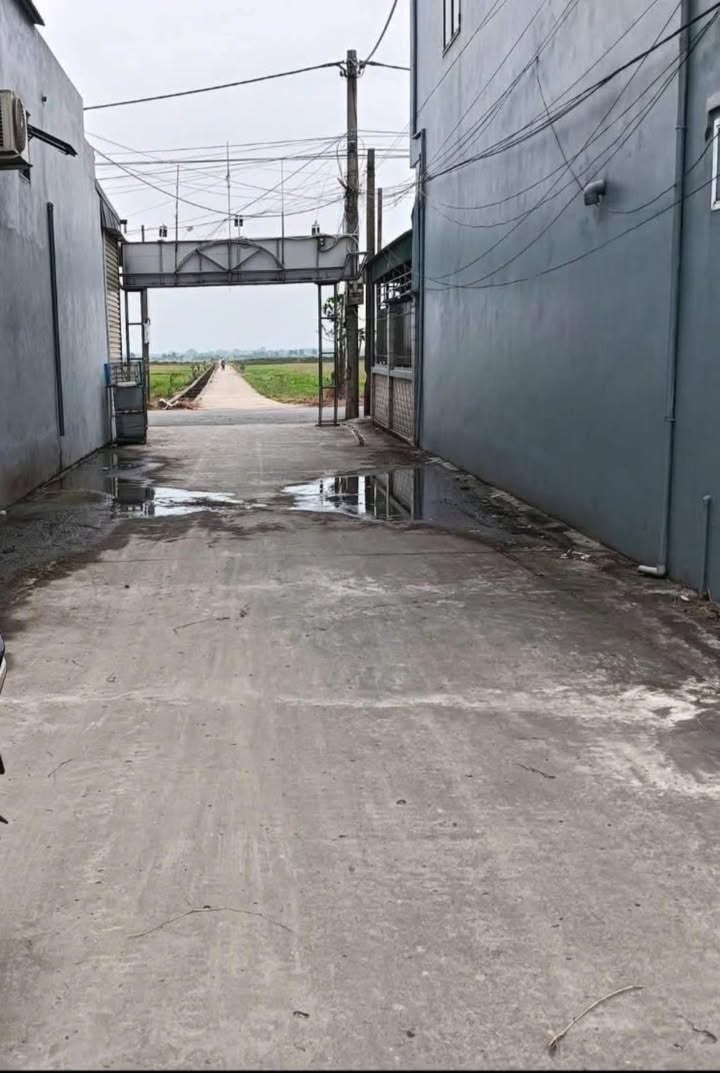 Đất nền Đông La, Đông Hưng, Thái Bình 109m² giá 1 tỷ - Khai thác ngay cơ hội vàng!