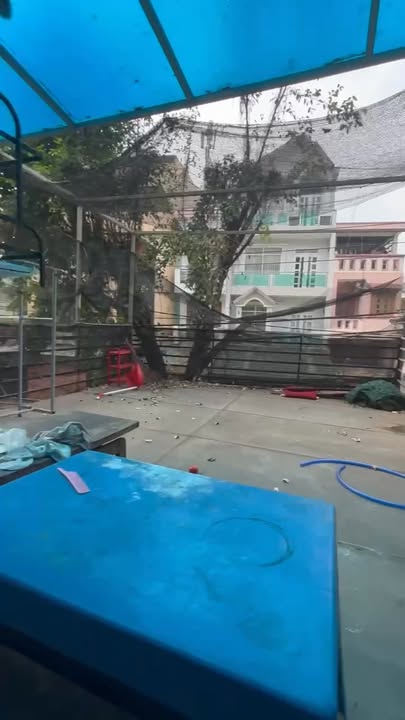 Phòng cho thuê Gò Vấp 30m² giá 5 triệu - Sân riêng hiếm gặp!