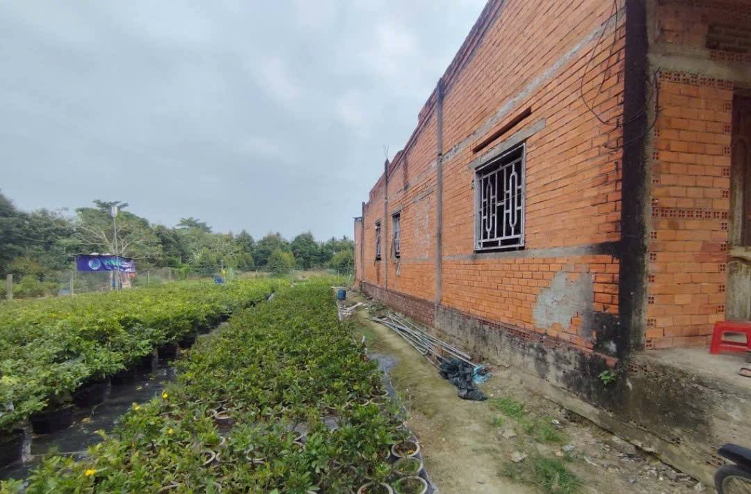 Đất nền 3.000m² tại Hưng Khánh Trung B, Chợ Lách - Chỉ 1.5 tỷ, thương lượng ngay!