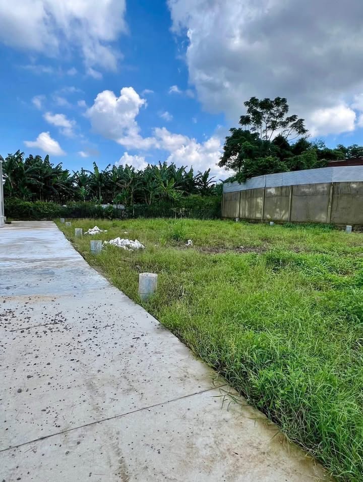 Đất thổ cư Phúc Nhạc, xã Gia Kiệm 97m² giá 420 triệu - Sổ riêng pháp lý rõ ràng!