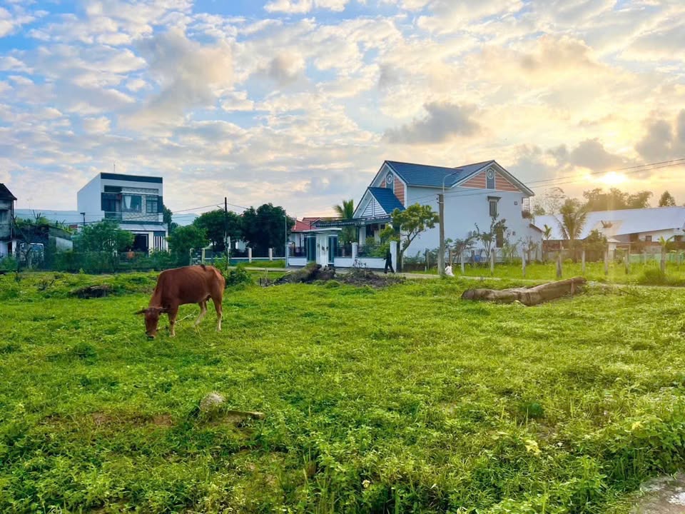 Đất nền Hòa Nhơn Đà Nẵng 126m² giá 950 triệu - Đầu tư sinh lời ngay!