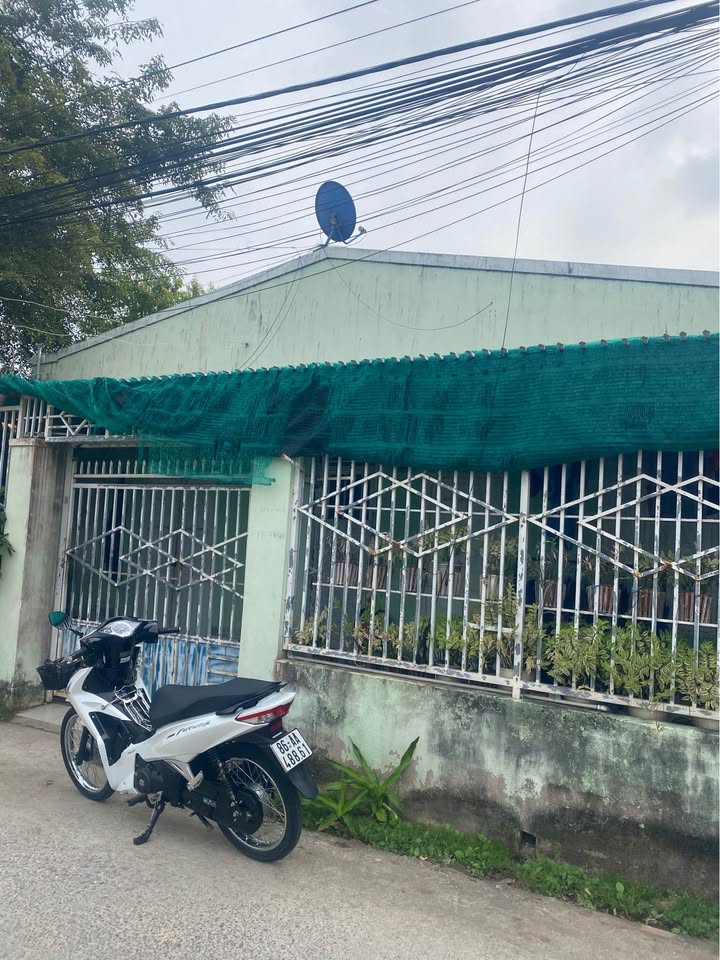 Nhà cấp 4 quận 1 100m² giá 2.3 tỷ - Kinh doanh ngay tại khu dân cư trí thức!