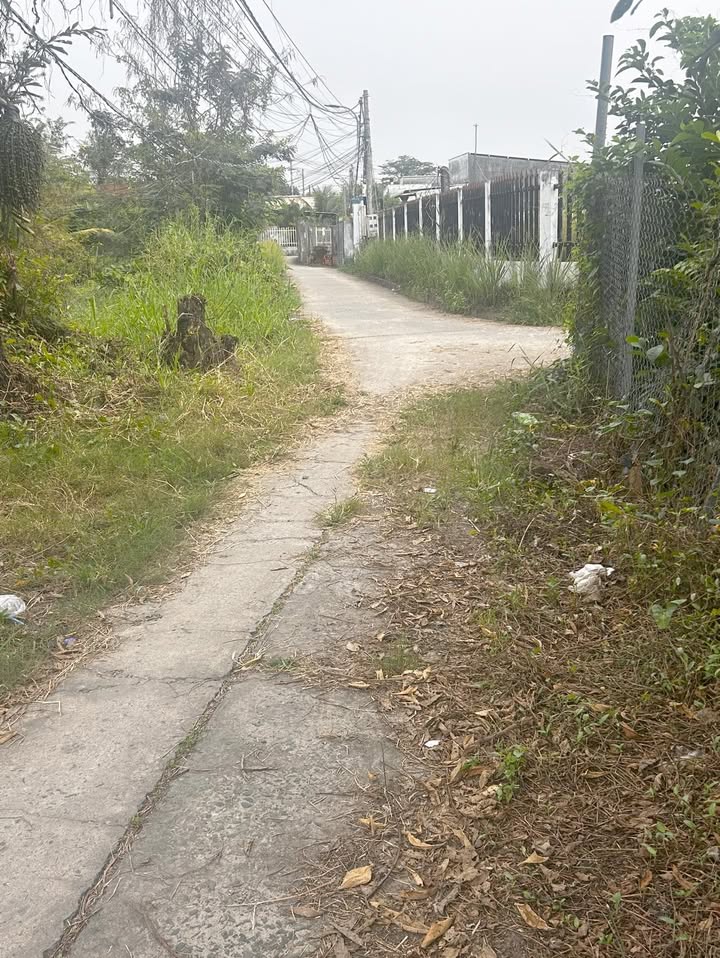 Đất thổ cư Cần Giuộc 100m² giá 1.08 tỷ - Cơ hội đầu tư hấp dẫn!