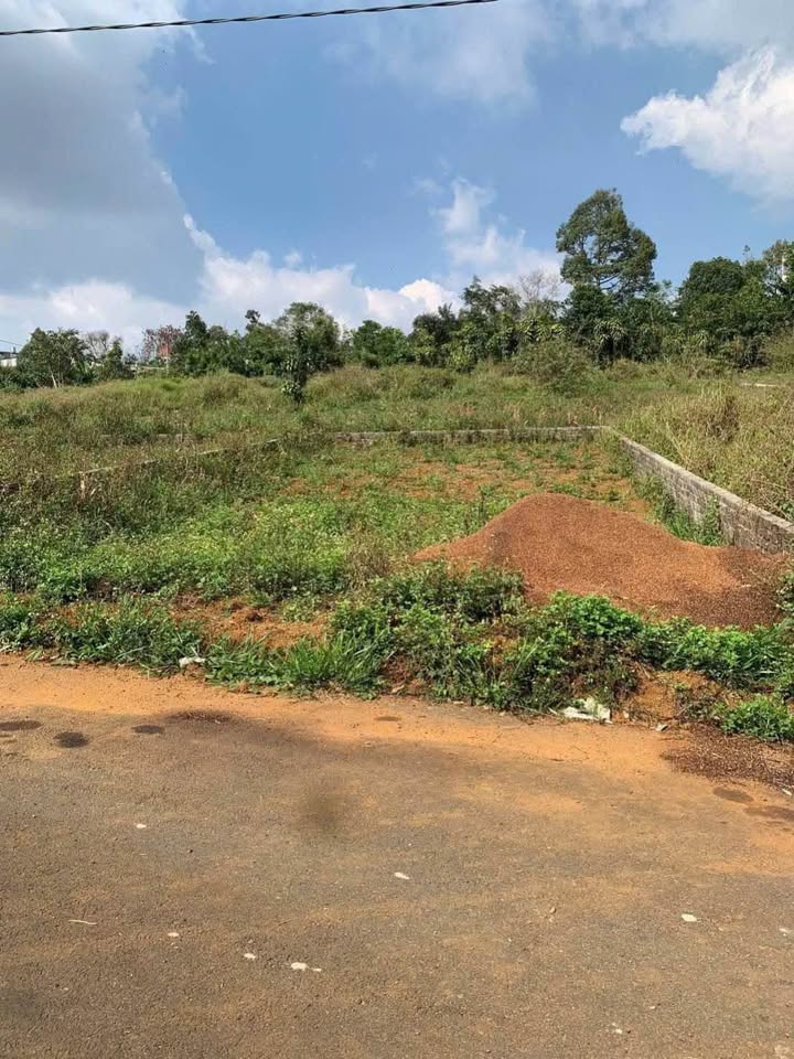 Đất nền Bảo Lộc 240m² giá 1.85 tỷ - Sổ hồng chính chủ