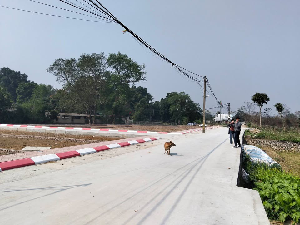 Đất Xã Xuân Mai, Huyện Chương Mỹ 80m² giá 1 tỷ - Vị trí đắc địa, sổ đỏ chính chủ!