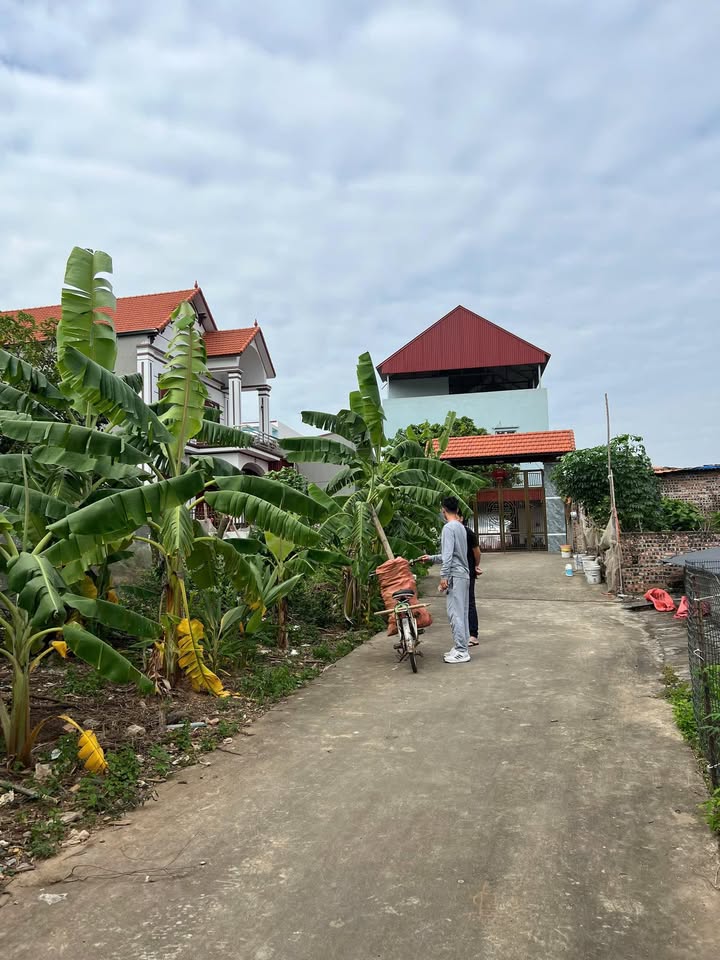 Đất nền liền kề xã Yên Lư 130m² giá hơn 1 tỷ - Cơ hội đầu tư tuyệt vời!