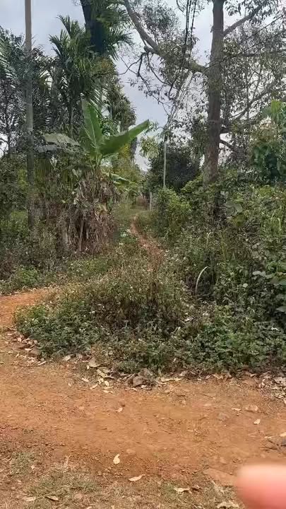 Đất thổ cư 108m² mặt tiền đường Nguyễn Tất Thành, giá 1 tỷ - Đầu tư sinh lời ngay!