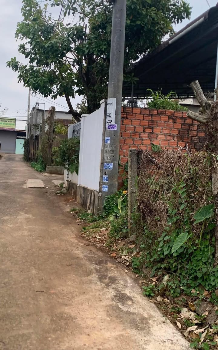 Đất chính chủ Hẻm 89 Nguyễn Trãi, An Bình 118m² giá 1.39 tỷ - Cơ hội đầu tư hấp dẫn!