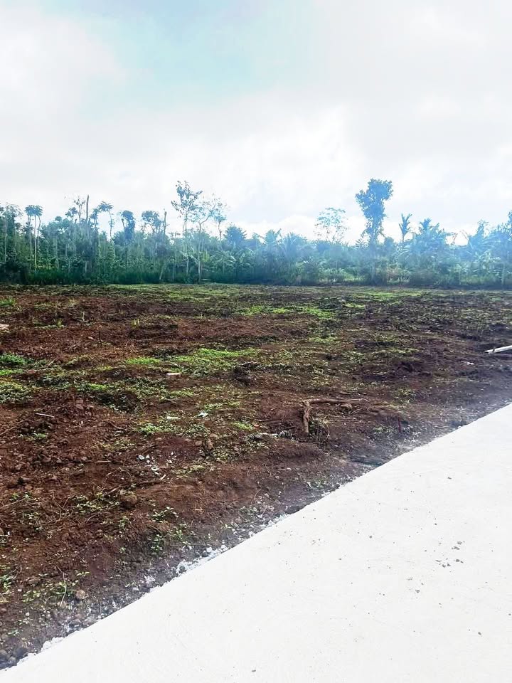 Đất thổ cư xã Ea Drông, Buôn Hồ, Đắk Lắk 150m² giá 239 triệu - Đường ô tô vào tận nơi!