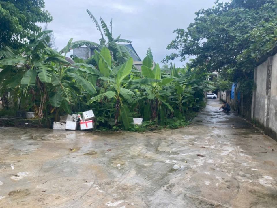 Lô đất Thạch Hạ 100m² giá chỉ 800 triệu - Cơ hội đầu tư tốt!