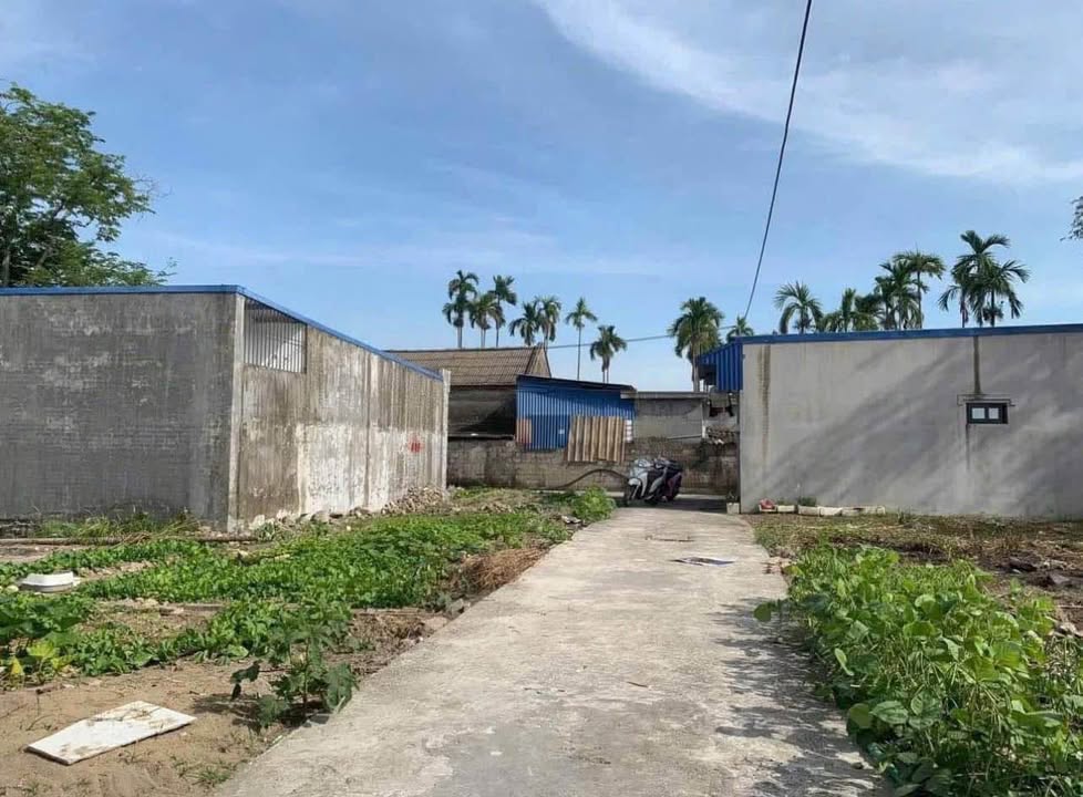 Đất 60m² tại Hà Đỗ, Hồng Phong - Giá chỉ 880 triệu - Đầu tư sinh lời ngay!