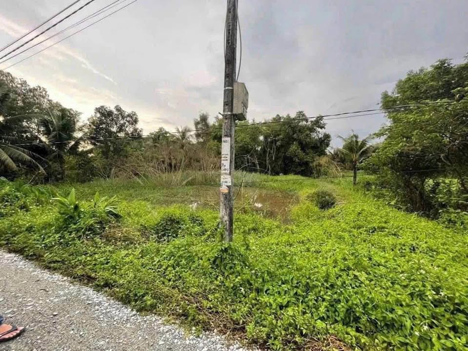 Đất vườn mặt tiền đường đá xanh 15m x 35m giá 900 triệu - Thoáng đãng, mát mẻ!