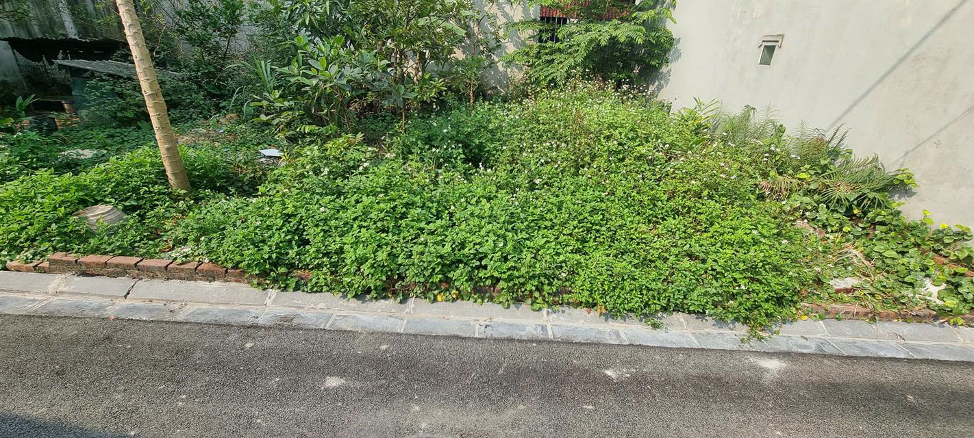 Đất thổ cư Thôn Nhì - Vân Nội 78m² giá 70 triệu - Cơ hội đầu tư hấp dẫn!