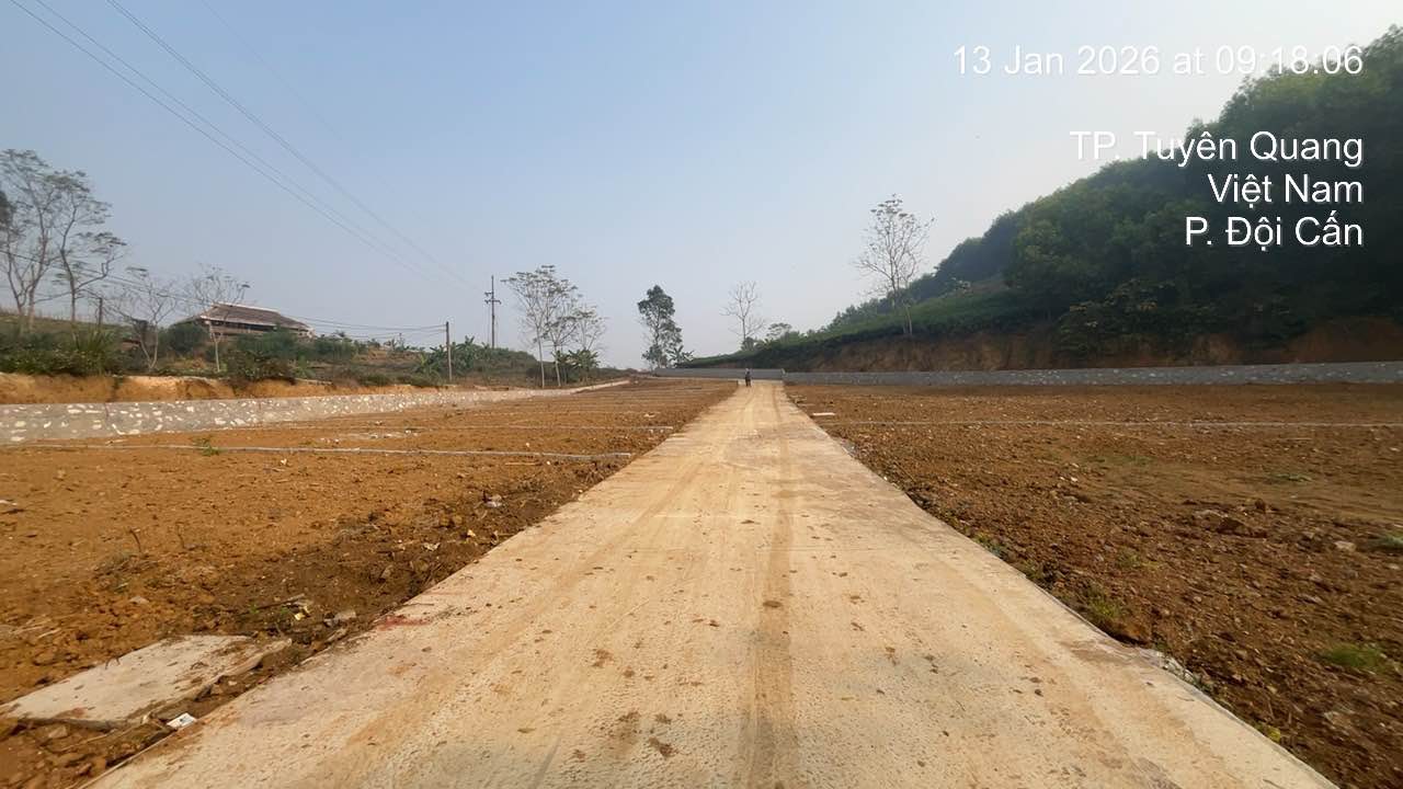 Lô đất thổ cư 50m² tại phường Bình Thuận giá chỉ 200 triệu - Cơ hội đầu tư tuyệt vời!