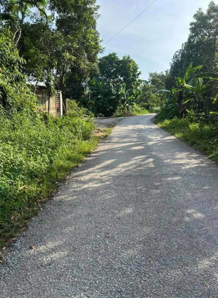 Đất nền An Khang, Trường Sinh 400m² - Mặt tiền 10m, Hướng Bắc - Giá thỏa thuận!