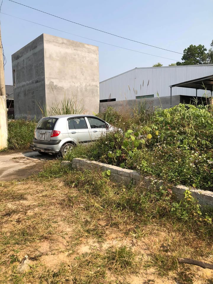 Đất thổ cư phường Tân Lập 81m² giá 1 tỷ - Mặt tiền rộng 6m