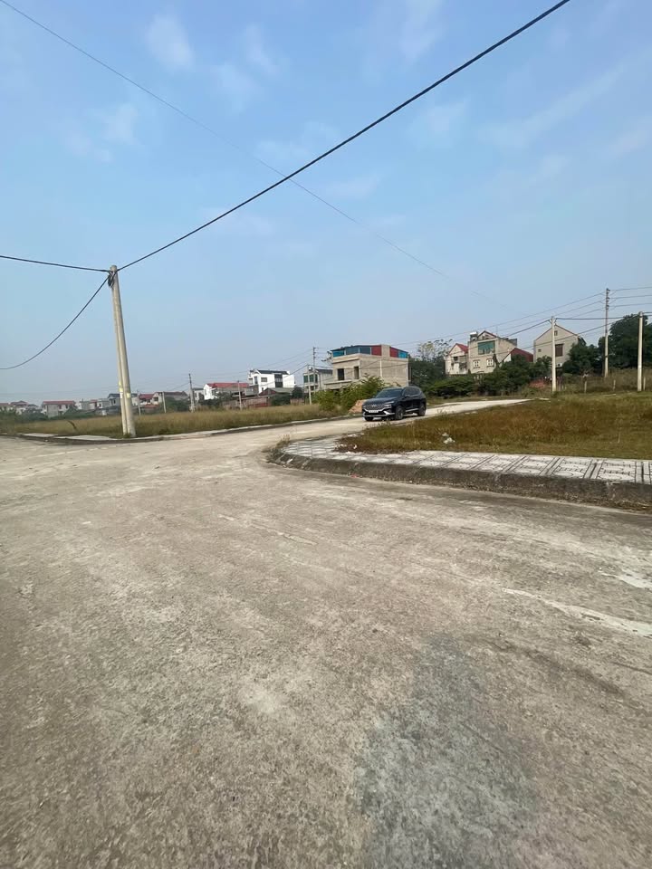 Đất đấu giá 113m² tại Tam Nông, Phú Thọ - Giá 2 tỷ, tiềm năng phát triển cao!