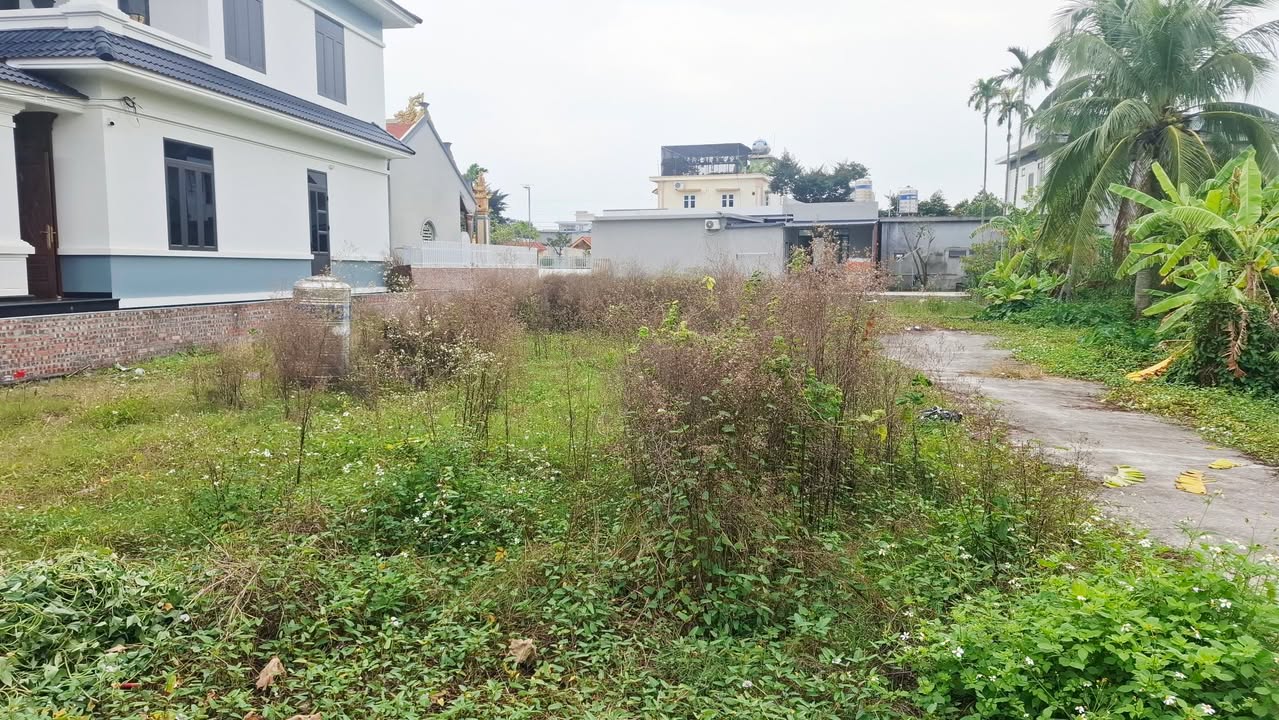 Đất nền An Luận, An Lão 66m² - Bìa đỏ chính chủ, Giá hợp lý đầu tư