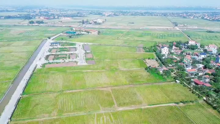 Đất đấu giá 50 lô tại Đạo Lý, Lý Nhân, Hà Nam 124m² giá 1 tỷ - Cơ hội đầu tư hấp dẫn!