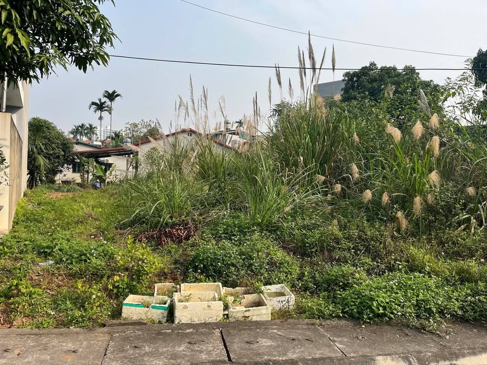 Bán lô đất Hào Gia, Yên Ninh 143.8m² nhỉnh 2 tỷ - Đầu tư sinh lời ngay!