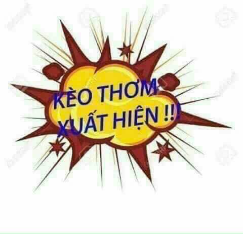 Đất thổ cư 60m² tại cụm 12 Tân Hội, Đan Phượng - Giá chỉ 800 triệu!