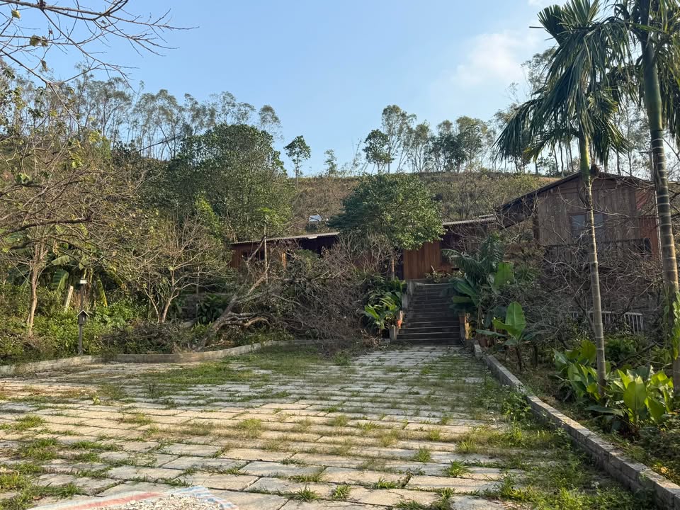 Bán đất nhà vườn phong cách Korea tại Nam Xuân 800m² - Giá chỉ 2 tỷ!