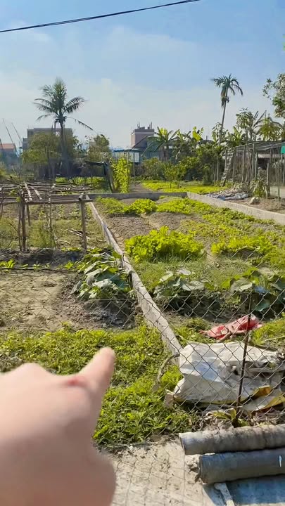 Đất nền khối Phúc Hậu, Phường Vinh Hưng, 99.6m² - Giá chỉ 2.4 tỷ, đầu tư sinh lời!