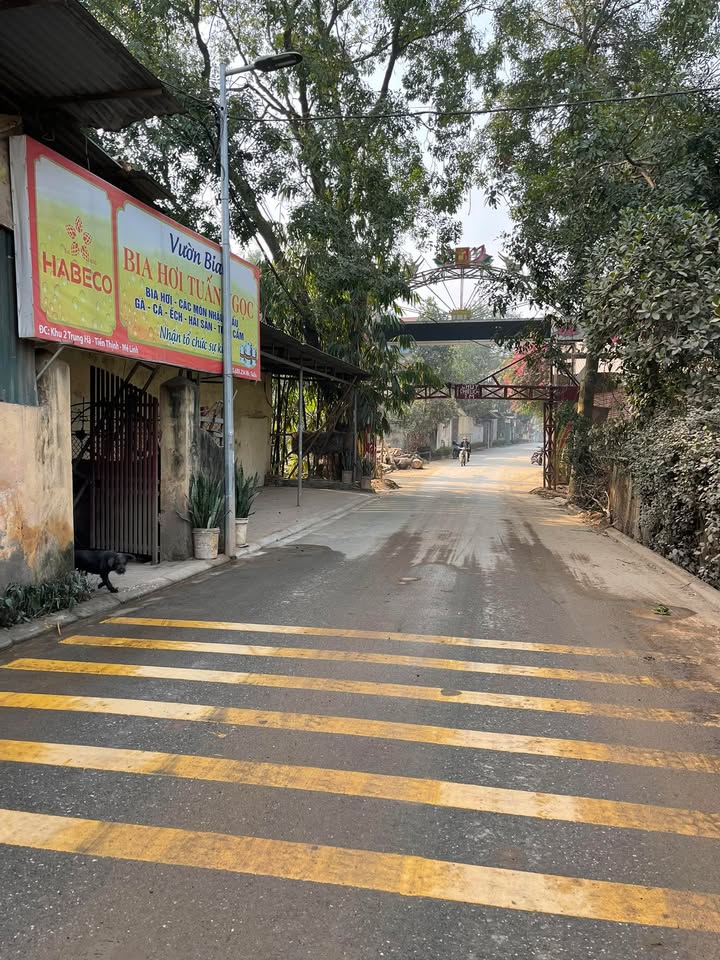 Đất nền 115m² mặt tiền 5m tại xã Trung Hà, Yên Lạc - Giá chỉ từ 20 triệu!