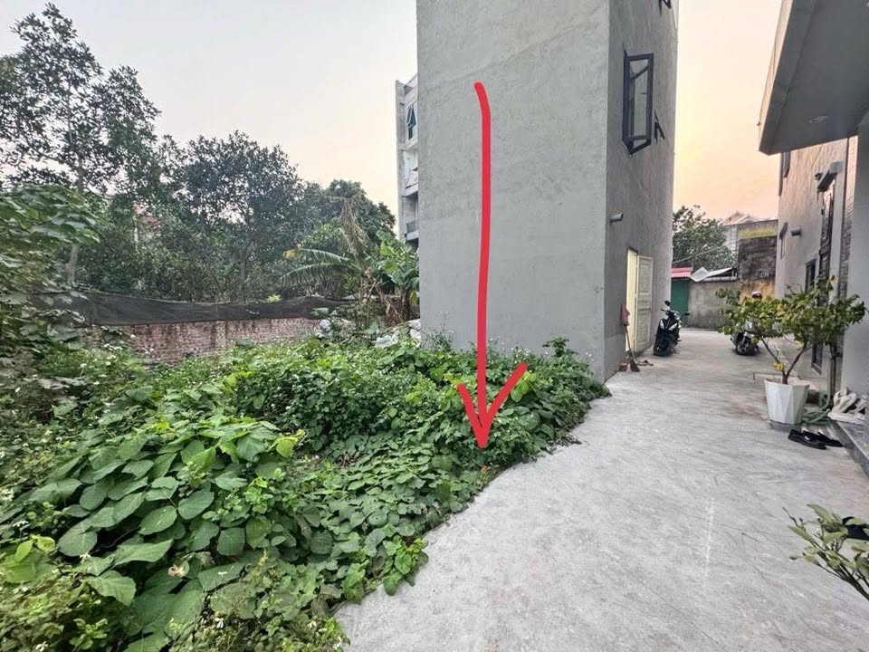 Đất Đặng Xá 42m² giá 3 tỷ - Mặt tiền rộng, vị trí đắc địa!