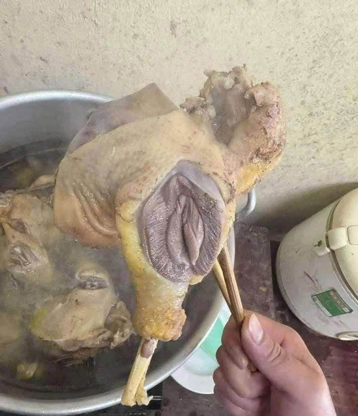 Đất nền Tân Bình Dĩ An 163m² giá 1.55 tỷ - Sổ riêng chính chủ!