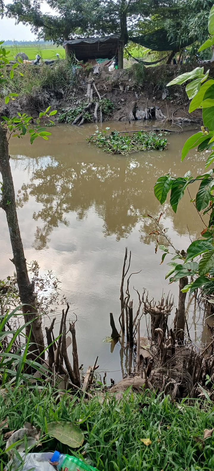 Đất vườn 2700m² tại Xã Long Thắng, Đồng Tháp - Giá chỉ 850 triệu!